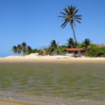 Paracuru - Coqueiro e casa na praia